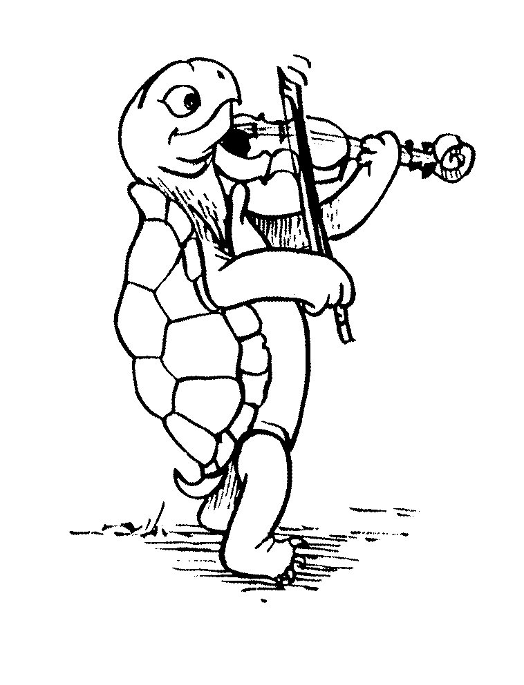 turtle